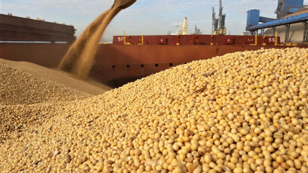 Soybean Oil & Meal